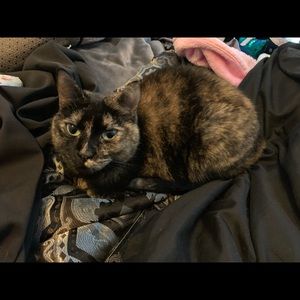 Meet your Posher, Amber